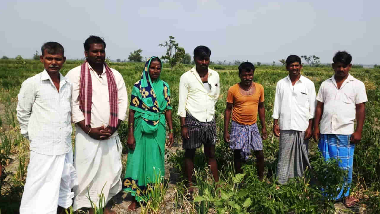 ಅರ್ಧ ಬೆಳೆ ಮಳೆ ಪಾಲಾಗಿದೆ; ಉಳಿದರ್ಧ ಭಾಗ ಕಳ್ಳಕಾಕರ ಪಾಲಾಗಿದೆ: ರೈತನ ಪಾಡೇನು?