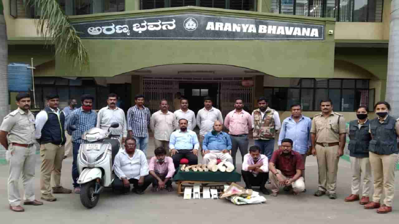 ಮೈಸೂರು: ಆನೆ ದಂತ ಮಾರಾಟ, ಕೇರಳದ ಇಬ್ಬರು ಸೇರಿ ನಾಲ್ವರ ಅರೆಸ್ಟ್