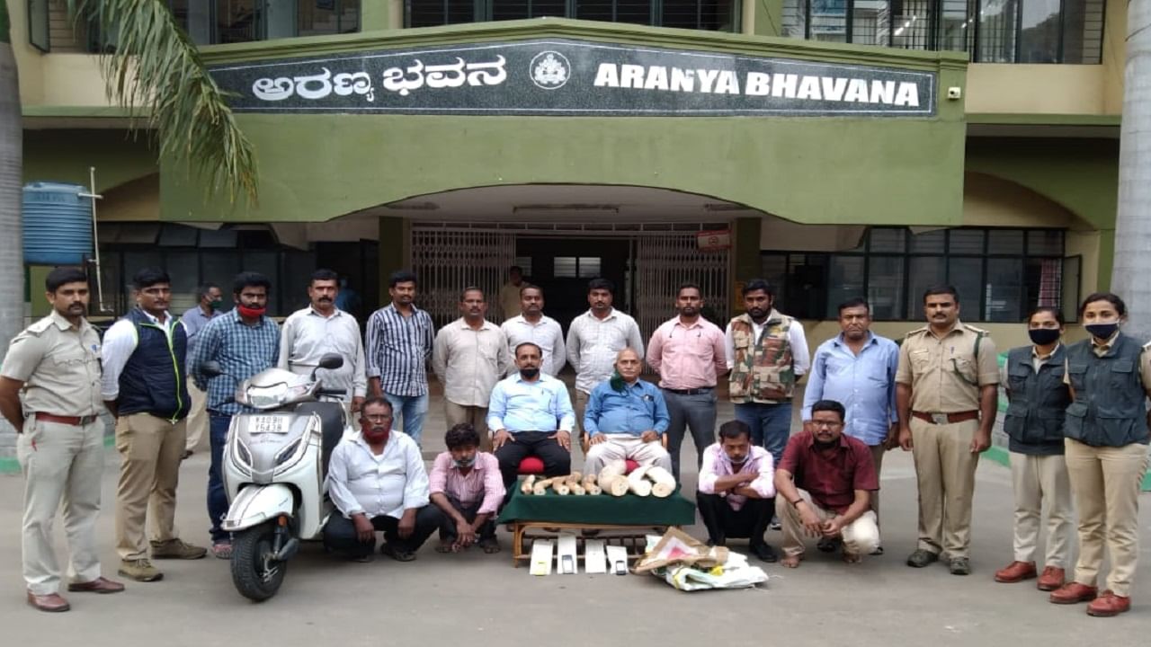 ಮೈಸೂರು: ಆನೆ ದಂತ ಮಾರಾಟ, ಕೇರಳದ ಇಬ್ಬರು ಸೇರಿ ನಾಲ್ವರ ಅರೆಸ್ಟ್ ಮೈಸೂರು: ಆನೆ ದಂತ ಮಾರಾಟ, ಕೇರಳದ ಇಬ್ಬರು ಸೇರಿ ನಾಲ್ವರ ಅರೆಸ್ಟ್