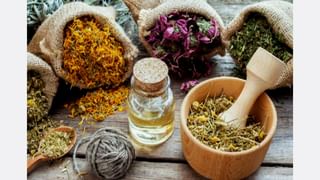 ಅಭಿವೃದ್ಧಿಯಲ್ಲಿ ಜೊತೆಜೊತೆಗೆ ಸಾಗೋಣ: ಆಸ್ಟ್ರೇಲಿಯಾ ಪ್ರಧಾನಿ ಸ್ಕಾಟ್ ಮಾರಿಸನ್