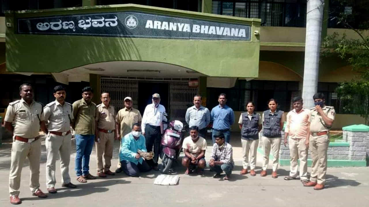 ಕಂದು ಮೀನು ಗೂಬೆ, ನಕ್ಷತ್ರ ಆಮೆ ಮಾರಲು ಯತ್ನಿಸಿದ ಕಿರಾತಕರು ಅಂದರ್ ಕಂದು ಮೀನು ಗೂಬೆ, ನಕ್ಷತ್ರ ಆಮೆ ಮಾರಲು ಯತ್ನಿಸಿದ ಕಿರಾತಕರು ಅಂದರ್