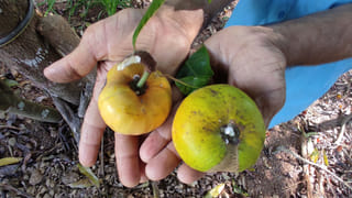 ‘ಅನಂತ’ ನೆನಪಿಗೆ 2 ವರ್ಷ: ಬಾಲ್ಯದ ಫೋಟೋ ಹಂಚಿಕೊಂಡು ಅಪ್ಪನನ್ನು ನೆನೆದ ಮಗಳು