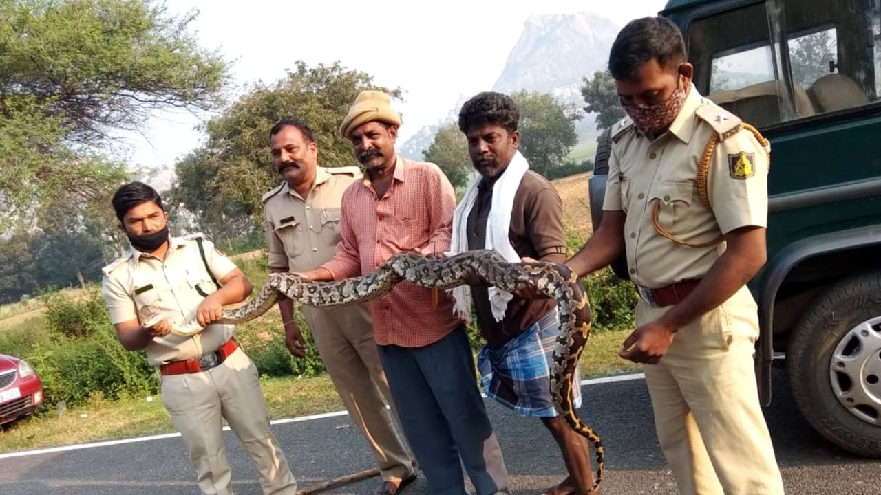 ಮೀನಿನ ಬಲೆಗೆ ಸಿಲುಕಿ ಒದ್ದಾಡುತ್ತಿದ್ದ 10 ಅಡಿ ಉದ್ದದ ಹೆಬ್ಬಾವು ರಕ್ಷಣೆ!