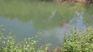 ಗ್ರೀನ್ ಪಟಾಕಿ ತುಂಬಾ ಸೇಫ್ ಅಂದುಕೊಂಡಿದ್ದೀರಾ? ಟಿವಿ9 ಬಯಲು ಮಾಡುತ್ತಿದೆ ಹಸಿರು ಪಟಾಕಿಯ ಭಯಾನಕ ಸತ್ಯ!