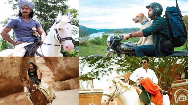 ಸಿನಿಮಾದಲ್ಲಿ ಪ್ರಾಣಿ ಬಳಕೆ ಮಾಡುವುದು ಇನ್ಮುಂದೆ ಕಷ್ಟ.. ಸಿಕ್ಕಾಪಟ್ಟೆ ಶುಲ್ಕ ವಿಧಿಸಿದ ಭಾರತೀಯ ಪಶು ಕಲ್ಯಾಣ ಮಂಡಳಿ ಸಿನಿಮಾದಲ್ಲಿ ಪ್ರಾಣಿ ಬಳಕೆ ಮಾಡುವುದು ಇನ್ಮುಂದೆ ಕಷ್ಟ.. ಸಿಕ್ಕಾಪಟ್ಟೆ ಶುಲ್ಕ ವಿಧಿಸಿದ ಭಾರತೀಯ ಪಶು ಕಲ್ಯಾಣ ಮಂಡಳಿ