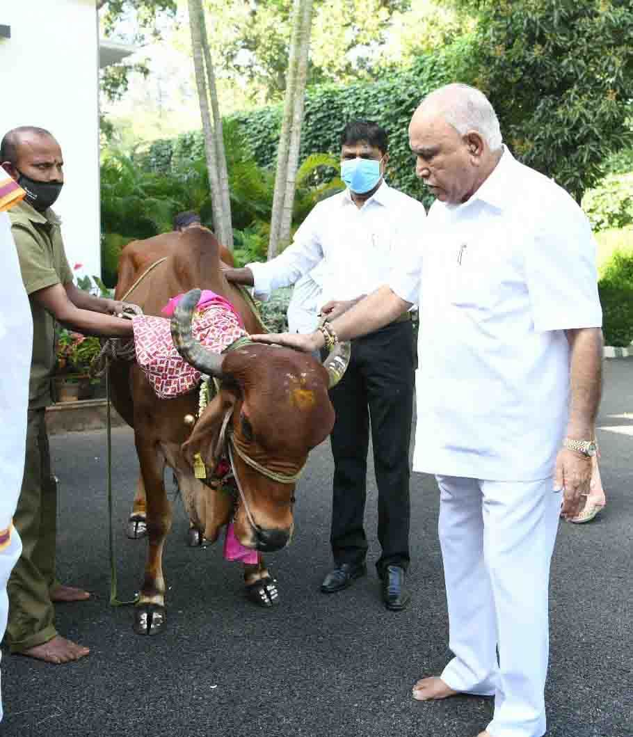 ಗೋ ಮಾತೆಯ ಆಶೀರ್ವಾದ ಪಡೆದ ಸಿಎಂ ಬಿಎಸ್ ಯಡಿಯೂರಪ್ಪ