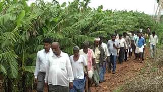 ಬರದ ನಾಡಿನಲ್ಲಿ ರೈತನ ವಿನೂತನ ಪ್ರಯೋಗ: ಕಡಿಮೆ ಹಣದಲ್ಲಿ ದೊಡ್ಡ ಬೆಳೆ ತೆಗೆದ ರೈತ