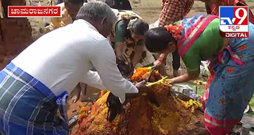 ಚಾಮರಾಜನಗರದಲ್ಲಿ ಷಷ್ಠಿಯಂದು ಹಾವಿನ ಹುತ್ತಕ್ಕೆ ರಕ್ತಾಭಿಷೇಕ ಮಾಡಿ, ಪೂಜೆ ಸಲ್ಲಿಸಿದ ಭಕ್ತರು !