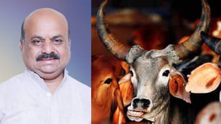 ವಕ್ಫ್ ಬೋರ್ಡ್​ನಲ್ಲಿ ಅವ್ಯವಹಾರಗಳ ಸರಮಾಲೆ; ಬಿಜೆಪಿ ವಕ್ತಾರ ಅನ್ವರ್ ಮಾಣಿಪ್ಪಾಡಿ ಆರೋಪ