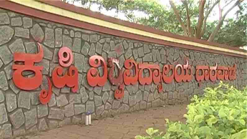 ವಿದ್ಯಾಕಾಶಿ ಮುಕುಟಕ್ಕೆ ಮತ್ತೊಂದು ಗರಿ: ದೇಶದ ಟಾಪ್​ 10 ಕೃಷಿ ವಿಶ್ವವಿದ್ಯಾಲಯಗಳ ಸಾಲಿನಲ್ಲಿ ಧಾರವಾಡ ಕೃಷಿ ವಿವಿ