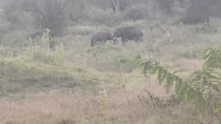 ರೂಪಾಂತರ ವೈರಸ್ ಆತಂಕ: ಆ ವ್ಯಕ್ತಿ ಇನ್ನೂ ನಾಪತ್ತೆ