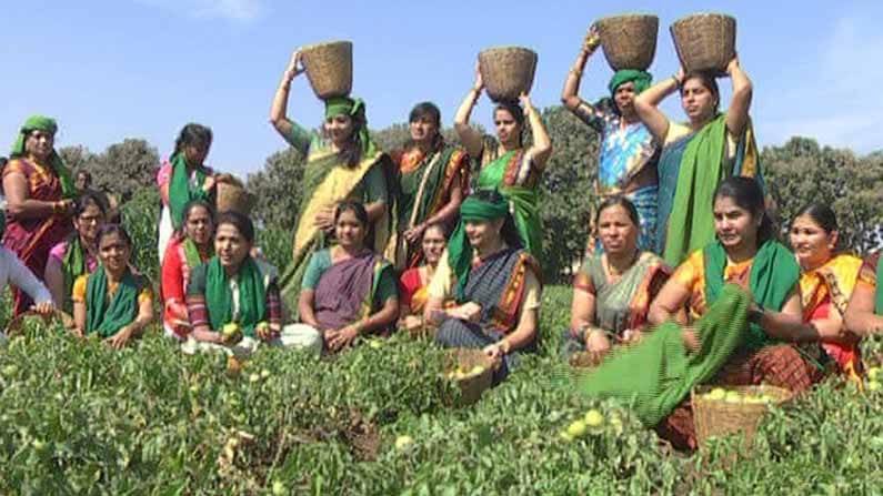 ರೈತರನ್ನು ನೆನೆಯೋ ದಿನ: ಧಾರವಾಡದಲ್ಲಿ ದಿನಾಚರಣೆ ಹೇಗಿತ್ತು ಗೊತ್ತಾ?