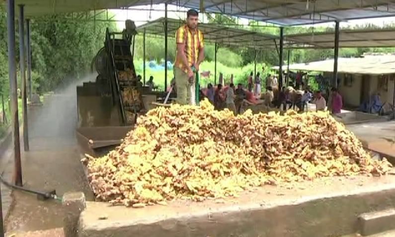ವಿಷವೇರಿ ಬಣ್ಣ ಬದಲಾಯಿಸುತ್ತಿದ್ದಾಳೆ ಕಾವೇರಿ; ಕಣ್ಮುಚ್ಚಿದೆಯಾ ಆಡಳಿತ ಮಂಡಳಿ? ವಿಷವೇರಿ ಬಣ್ಣ ಬದಲಾಯಿಸುತ್ತಿದ್ದಾಳೆ ಕಾವೇರಿ; ಕಣ್ಮುಚ್ಚಿದೆಯಾ ಆಡಳಿತ ಮಂಡಳಿ?