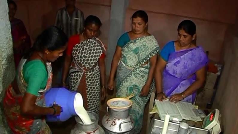 ಹಾಲು ಉತ್ಪಾದನೆಯಲ್ಲಿ ನಾಡಿಗೆ ಸ್ಪೂರ್ತಿಯಾಗುತ್ತಿದೆ ಮಾರ್ಕಂಡಪುರದ ಮಹಿಳೆಯರ ಮಾದರಿ ಹಾಲು ಉತ್ಪಾದನೆಯಲ್ಲಿ ನಾಡಿಗೆ ಸ್ಪೂರ್ತಿಯಾಗುತ್ತಿದೆ ಮಾರ್ಕಂಡಪುರದ ಮಹಿಳೆಯರ ಮಾದರಿ