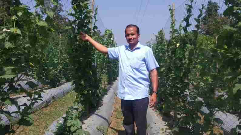 ಮಾಡಹಾಗಲು ಬೆಳೆದು ಮೂಢನಂಬಿಕೆ ದೂರ ಮಾಡಿದ ರೈತನ ಕೃಷಿ ಯಶೋಗಾಥೆ