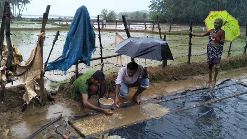 National Farmers Day 2020: ಧರ್ಮಸ್ಥಳ ಗ್ರಾಮಾಭಿವೃದ್ಧಿ ಸಂಸ್ಥೆ ರೂಪಿಸಿದ ಸಮಗ್ರ ಕೃಷಿ ಪದ್ಧತಿಗಳ ಪರಿಚಯ