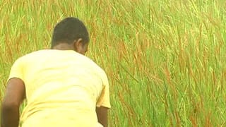 ಆಸ್ಪತ್ರೆಗೆ ನುಗ್ಗಿ ಮಹಿಳೆಯ ಸರ ದೋಚಲು ಯತ್ನ: ಸ್ಥಳಿಯರ ಆಕ್ರೋಶ