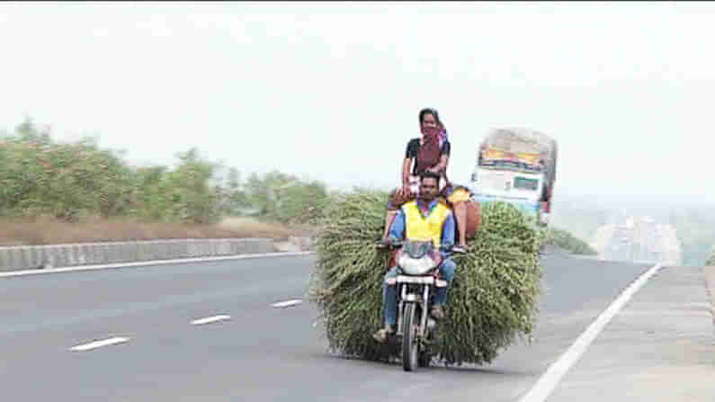 ಇದು ಜೀವನ | ಬದುಕಿನ ಬಂಡಿ ಎಳೆಯೋಕೆ ತಾಯಿ ಮಗನ ಹರ ಸಾಹಸ: ವಿಜಯಪುರದಲ್ಲೊಂದು ಮನಕಲಕುವ ಕತೆ