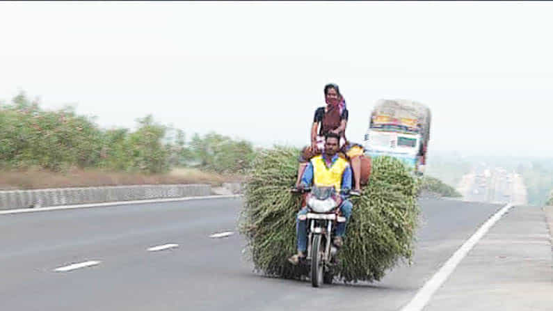 ಇದು ಜೀವನ | ಬದುಕಿನ ಬಂಡಿ ಎಳೆಯೋಕೆ ತಾಯಿ ಮಗನ ಹರ ಸಾಹಸ: ವಿಜಯಪುರದಲ್ಲೊಂದು ಮನಕಲಕುವ ಕತೆ