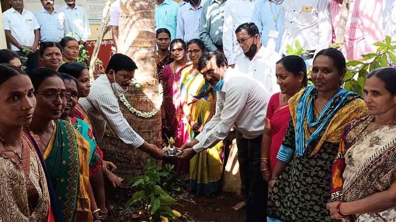 ತೆಂಗಿನ ಮರಕ್ಕೆ ಹೂ ಮುಡಿಸಿ, ಅರಿಶಿಣ ಹಚ್ಚಿ ಸೀಮಂತ