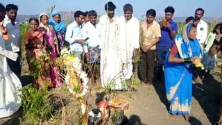 ಮೇಲುಕೋಟೆಯಲ್ಲಿ ಮಿತಿಮೀರಿದೆ ಮಂಗಗಳ ಕಾಟ..