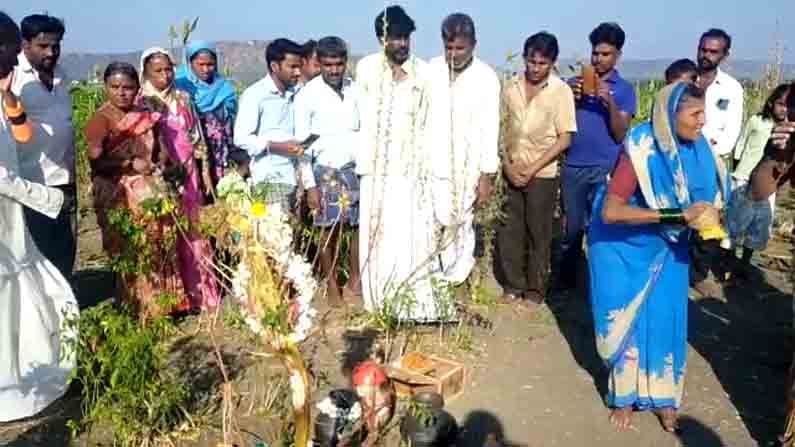 ಪುಂಡಿಗಿಡದಲ್ಲಿ ಬೊಮ್ಮಸಾಗರದ ದುರ್ಗಾದೇವಿ ಅವತಾರವಂತೆ.. ವದಂತಿ ಕೇಳಿ ಹರಿದು ಬಂದ ಭಕ್ತ ಗಣ, ಯಾವೂರಲ್ಲಿ?