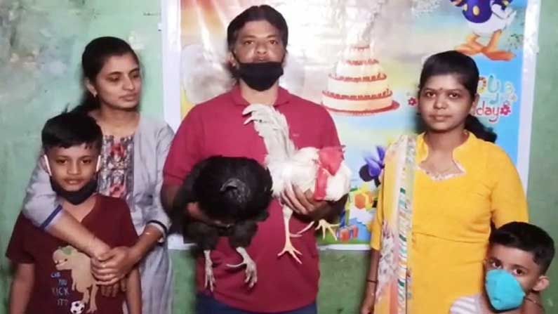 ಹುಂಜಗಳಿಗೂ ಹುಟ್ಟುಹಬ್ಬ..; ಕೇಕ್ ಕತ್ತರಿಸಿ ಸಂಭ್ರಮದಿಂದ ಆಚರಿಸಿದ ಕುಟುಂಬ !