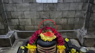 1702 ಅನಾಥ ಶವಗಳಿಗೆ ಮುಕ್ತಿ ಕೊಡಿಸಿರುವ ಅಪರೂಪದ ಮಹಿಳೆ.. ಯಾರಿರಬಹುದು?