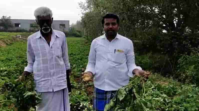 ಹೊಲದಲ್ಲಿದ್ದ 60 ಮೂಟೆ ಆಲೂಗಡ್ಡೆ ಕಳ್ಳತನ: ರೈತರು ಕಂಗಾಲು..