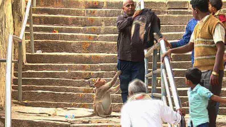ಮೇಲುಕೋಟೆಯಲ್ಲಿ ಮಿತಿಮೀರಿದೆ ಮಂಗಗಳ ಕಾಟ.. ಮೇಲುಕೋಟೆಯಲ್ಲಿ ಮಿತಿಮೀರಿದೆ ಮಂಗಗಳ ಕಾಟ..