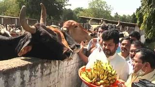 ಬರದ ನಾಡಿನಲ್ಲಿ ರೈತನ ವಿನೂತನ ಪ್ರಯೋಗ: ಕಡಿಮೆ ಹಣದಲ್ಲಿ ದೊಡ್ಡ ಬೆಳೆ ತೆಗೆದ ರೈತ