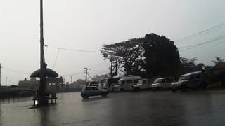 Explainer | ನೈಸರ್ಗಿಕ, ಸಾವಯವ, ಶೂನ್ಯ ಬಂಡವಾಳ ಮತ್ತು ರಾಸಾಯನಿಕ ಕೃಷಿ: ಏನು ವ್ಯತ್ಯಾಸ?