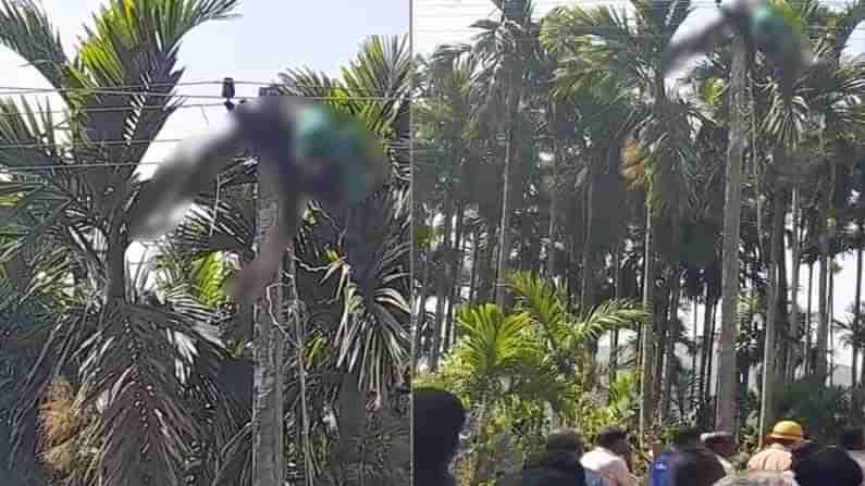 ವಿದ್ಯುತ್ ದುರಸ್ತಿ ವೇಳೆ ಅವಘಡ: ತೋಟದ ಮಾಲೀಕನ ಮಾತು ಕೇಳಿ ಕಂಬವೇರಿದ ಯುವಕ ಕರೆಂಟ್​ ಶಾಕ್​ಗೆ ಬಲಿ