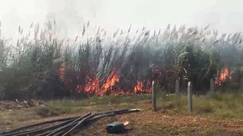 ಕಟಾವಿಗೆ ಬಂದಿದ್ದ ಕಬ್ಬು ಧಗಧಗನೆ ಉರಿದು ಭಸ್ಮ.. ಕಂಗಾಲಾದ ಬೆಳೆಗಾರರು ಕಟಾವಿಗೆ ಬಂದಿದ್ದ ಕಬ್ಬು ಧಗಧಗನೆ ಉರಿದು ಭಸ್ಮ.. ಕಂಗಾಲಾದ ಬೆಳೆಗಾರರು