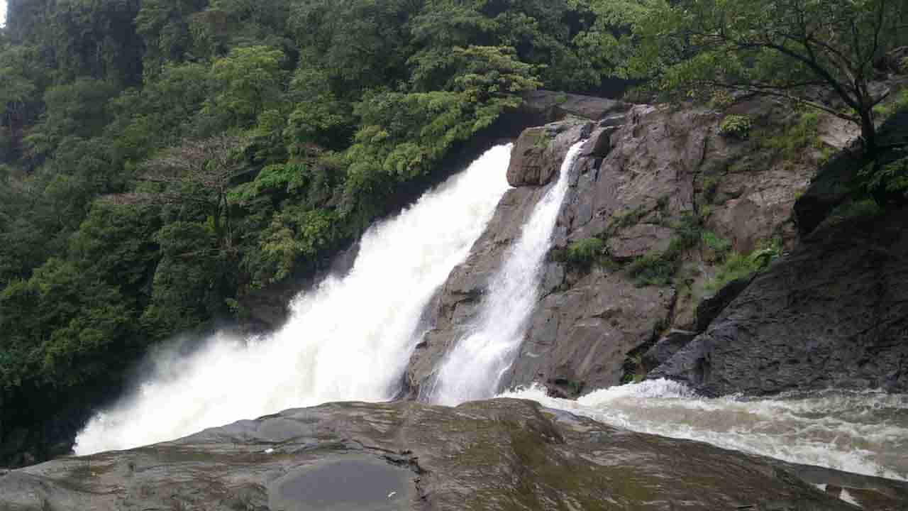 ಮನೆಯವರು ಮದುವೆಗೆ ಒಪ್ಪಿಲ್ಲವೆಂದು ಪ್ರೇಮ ಪಕ್ಷಿಗಳು ಆತ್ಮಹತ್ಯೆಗೆ ಶರಣು: ಫಾಲ್ಸ್ ಬಳಿ ಕೊಳೆತ ಸ್ಥಿತಿಯಲ್ಲಿ ಶವ ಪತ್ತೆ