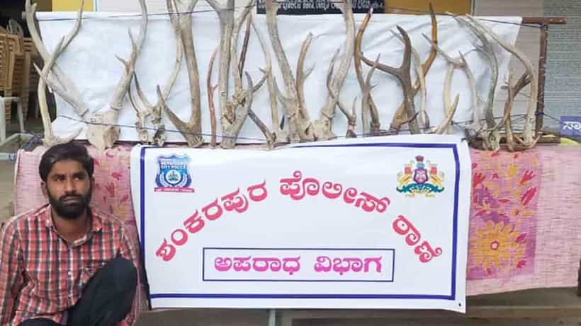 ಸಿಟಿ ಇನ್ಸ್ಟಿಟ್ಯೂಟ್ ಮುಂದೆ.. ಜಿಂಕೆ ಕೊಂಬು ಮಾರಲು ಯತ್ನಿಸುತ್ತಿದ್ದ ಕಿರಾತಕ ಅಂದರ್