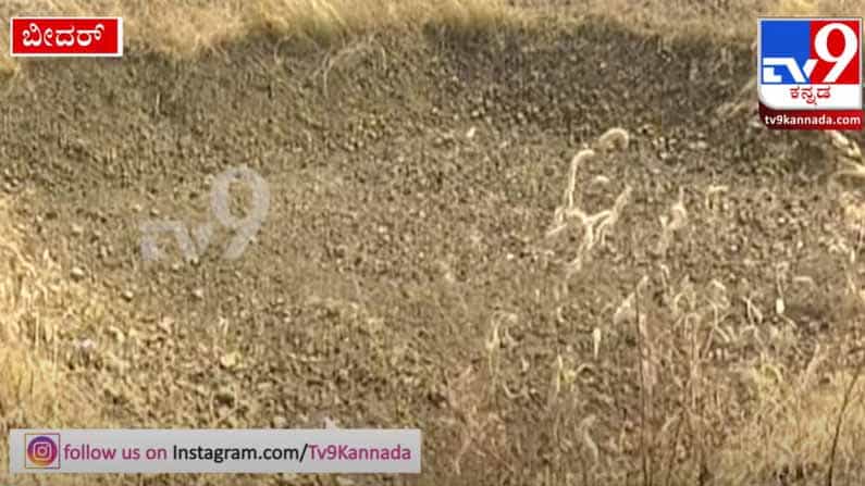 ಬೀದರ್​​ನಲ್ಲಿ ಹಳ್ಳ ಹಿಡಿದ ಸರ್ಕಾರಿ ಯೋಜನೆ..ಕೃಷಿಹೊಂಡವಿದ್ದರೂ ರೈತರಿಗೆ ಇಲ್ಲ ಪ್ರಯೋಜನ
