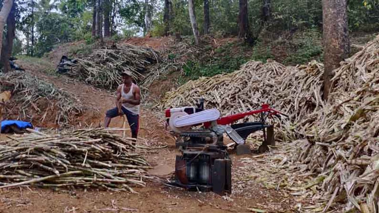 ಕಬ್ಬಿನ ಹಬ್ಬಕ್ಕೆ ಸಿದ್ಧತೆ..