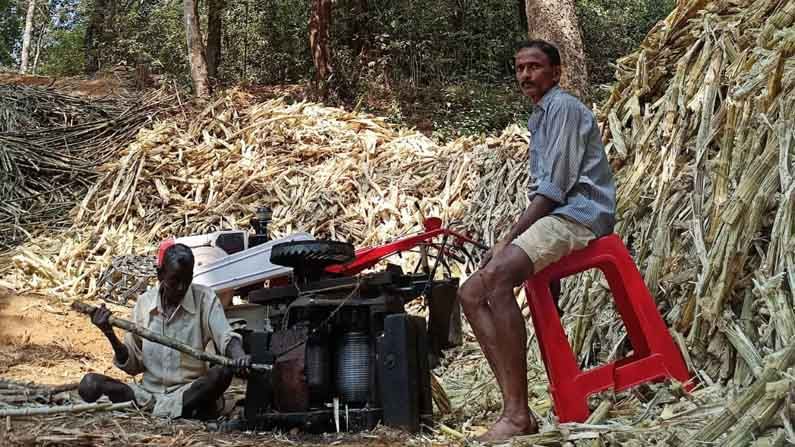 ಹಾಲು ಉಕ್ಕಿಸುವ ಸನ್ನಾಹ