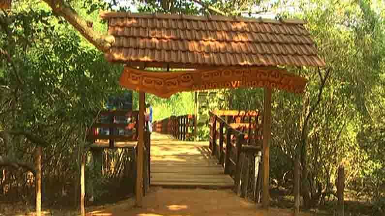 ಹೊನ್ನಾವರದ ಕಾಂಡ್ಲಾ ವಾಕ್ ಬೋರ್ಡ್ಗೆ ಫಿದಾ.. ಸುಂದರ ಪರಿಸರದ ಮಧ್ಯೆ ಜನರ ವಾಕಿಂಗ್ ಹೊನ್ನಾವರದ ಕಾಂಡ್ಲಾ ವಾಕ್ ಬೋರ್ಡ್ಗೆ ಫಿದಾ.. ಸುಂದರ ಪರಿಸರದ ಮಧ್ಯೆ ಜನರ ವಾಕಿಂಗ್