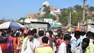 ತಡರಾತ್ರಿ ಕಾಡಾನೆಗಳ ಕಾಟ: ತೋಟಗಳೆಲ್ಲ ನಾಶ