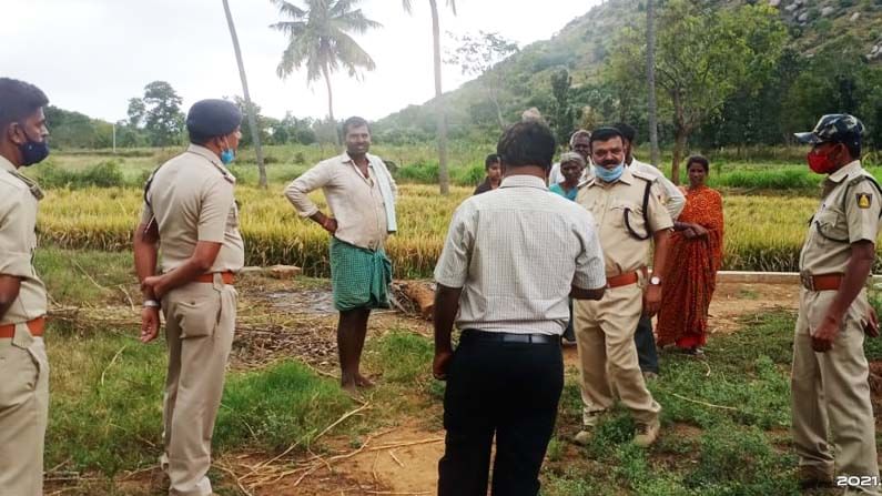 ಕನಕಪುರ ತಾಲೂಕಿನಲ್ಲಿ ಕಾಡಾನೆಗಳಿಂದ ದಾಳಿ:  ಅಪಾರ ಬೆಳೆ ನಾಶ