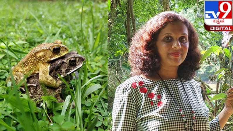 ನಾನೆಂಬ ಪರಿಮಳದ ಹಾದಿಯಲಿ: ಧಾರಾವಾಹಿ ಮುಂದುವರಿಯುವುದು.. ನಾನೆಂಬ ಪರಿಮಳದ ಹಾದಿಯಲಿ: ಧಾರಾವಾಹಿ ಮುಂದುವರಿಯುವುದು..