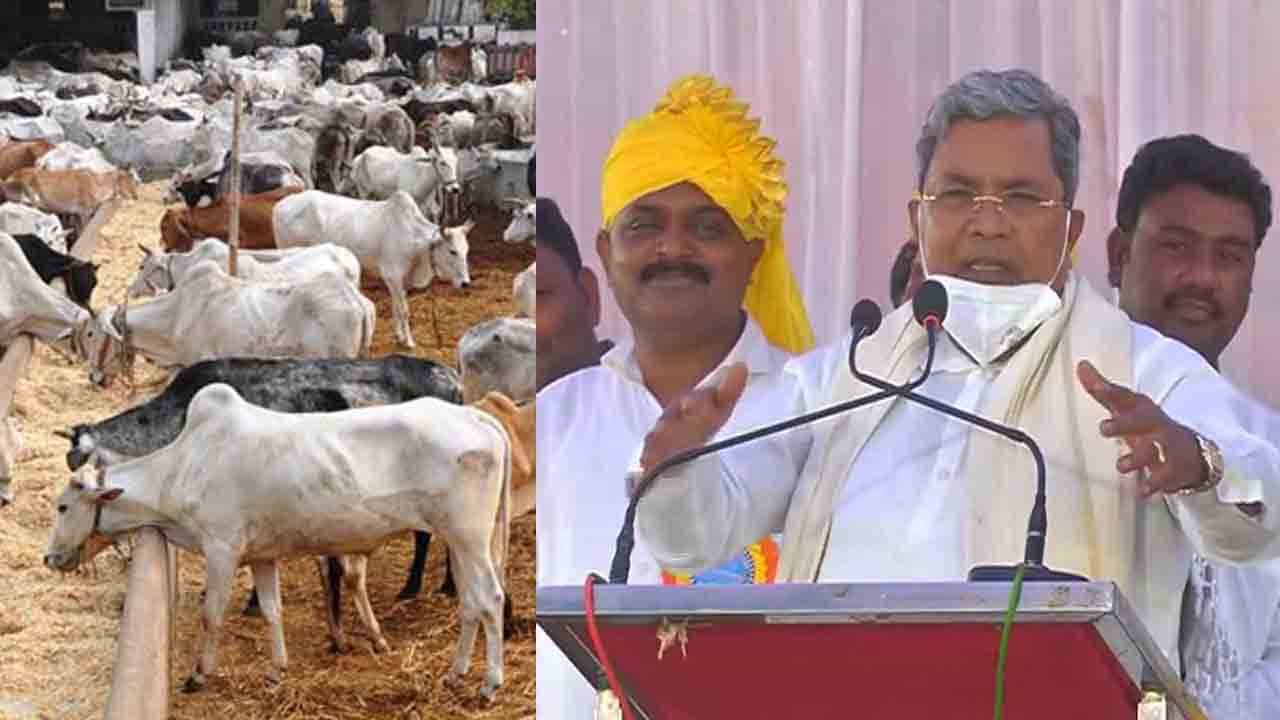 ‘ಭಾರತದಲ್ಲಿ ತಿಂದರಷ್ಟೇ ಗೋವು ಮಾತೆಯೇ? ವಿದೇಶಗಳಿಗೆ ರಫ್ತಾಗುತ್ತಿರುವ ಗೋವುಗಳು ಮಾತೆಯಲ್ಲವೇ?’ ‘ಭಾರತದಲ್ಲಿ ತಿಂದರಷ್ಟೇ ಗೋವು ಮಾತೆಯೇ? ವಿದೇಶಗಳಿಗೆ ರಫ್ತಾಗುತ್ತಿರುವ ಗೋವುಗಳು ಮಾತೆಯಲ್ಲವೇ?’