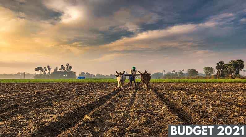 Budget 2021 | ಸರ್ಕಾರ ರೈತಪರವಾಗಿದೆ ಎಂದು ಅಂಕಿಅಂಶ ಮುಂದಿಟ್ಟ ನಿರ್ಮಲಾ ಸೀತಾರಾಮನ್ Budget 2021 | ಸರ್ಕಾರ ರೈತಪರವಾಗಿದೆ ಎಂದು ಅಂಕಿಅಂಶ ಮುಂದಿಟ್ಟ ನಿರ್ಮಲಾ ಸೀತಾರಾಮನ್