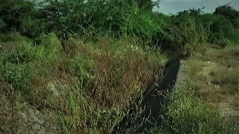 ನೀರಾವರಿ ಸೌಲಭ್ಯ ಕೊರತೆ: ಯಾದಗಿರಿಯ ರೈತರು ಕಂಗಾಲು