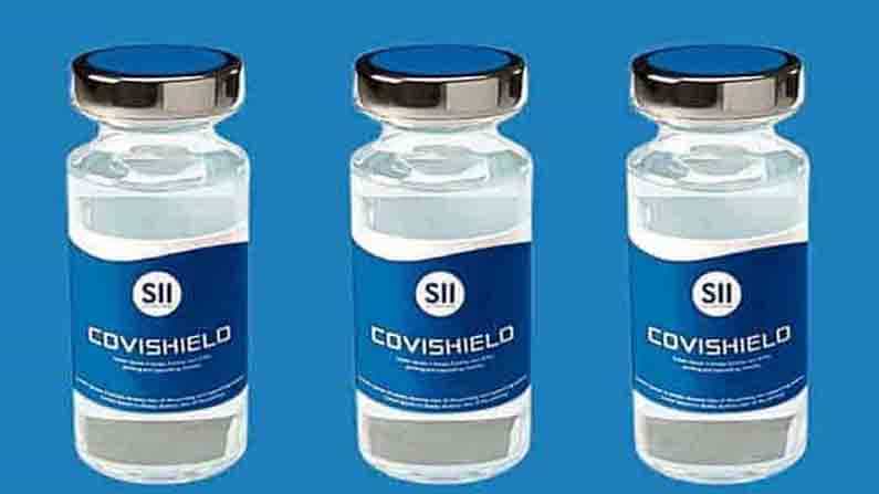 Covishield ಕೊವಿಶೀಲ್ಡ್ ಲಸಿಕೆ ಪಡೆದವರ ಪ್ರಯಾಣಕ್ಕೆ ಐರೋಪ್ಯ ಒಕ್ಕೂಟದ ಏಳು ದೇಶಗಳಿಂದ ಅನುಮತಿ