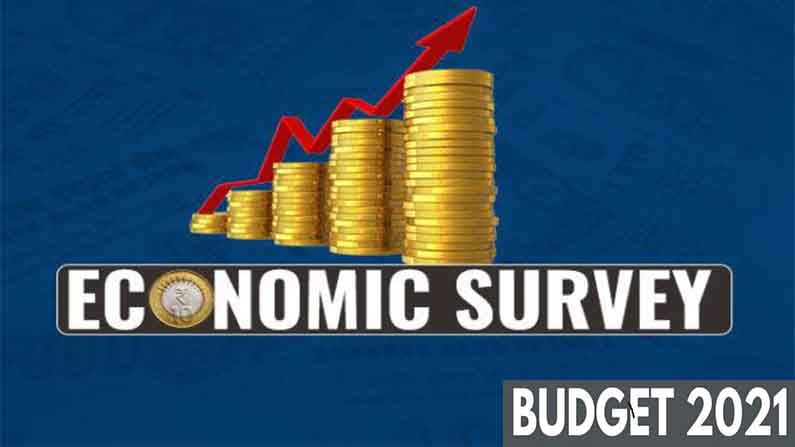 Budget 2021 | ನೂತನ ಕೃಷಿ ಕಾಯ್ದೆಗಳನ್ನು ಸಮರ್ಥಿಸಿಕೊಂಡ ಆರ್ಥಿಕ ವರದಿ