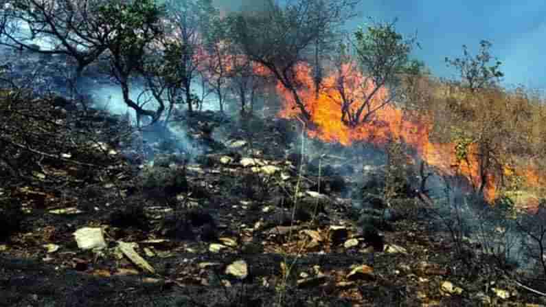 ಬೇಸಿಗೆಗೆ ಮುನ್ನವೇ ಕಪ್ಪತಗುಡ್ಡಕ್ಕೆ ಬೆಂಕಿ: ಕಾಡು ಕೊತ್ತಂಬರಿ ಸೇರಿದಂತೆ ಅರಣ್ಯದ ನಾನಾ ಬಗೆಯ ಮರಗಿಡಗಳಿಗೆ ಕುತ್ತು