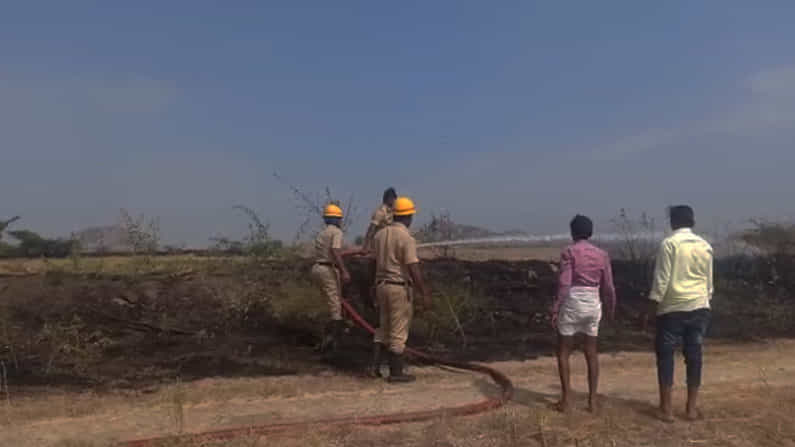 ಆಕಸ್ಮಿಕವಾಗಿ ಕಾಣಿಸಿಕೊಂಡ ಬೆಂಕಿ: 26 ಎಕರೆ ಸೂರ್ಯಕಾಂತಿ ಬೆಳೆ ಆಹುತಿ